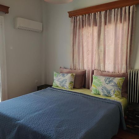 Helen'S Downtown Apartment Ιωάννινα Εξωτερικό φωτογραφία