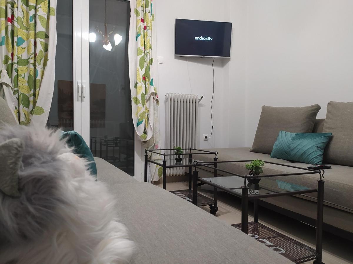 Helen'S Downtown Apartment Ιωάννινα Εξωτερικό φωτογραφία