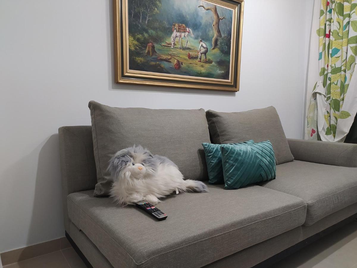 Helen'S Downtown Apartment Ιωάννινα Εξωτερικό φωτογραφία